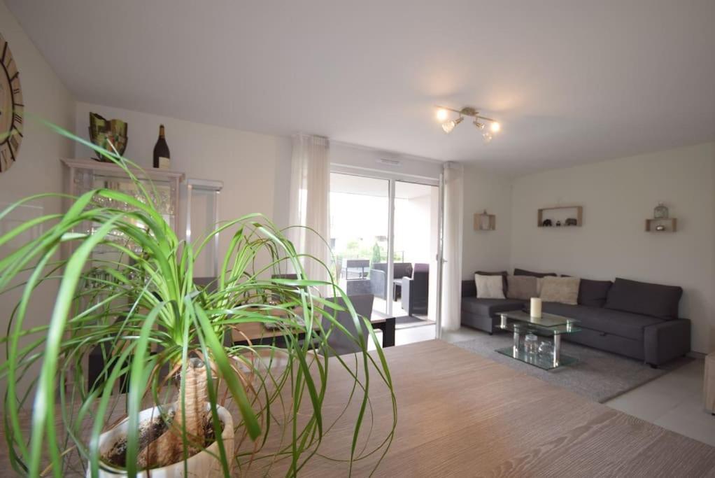 Appartement سليستا المظهر الخارجي الصورة